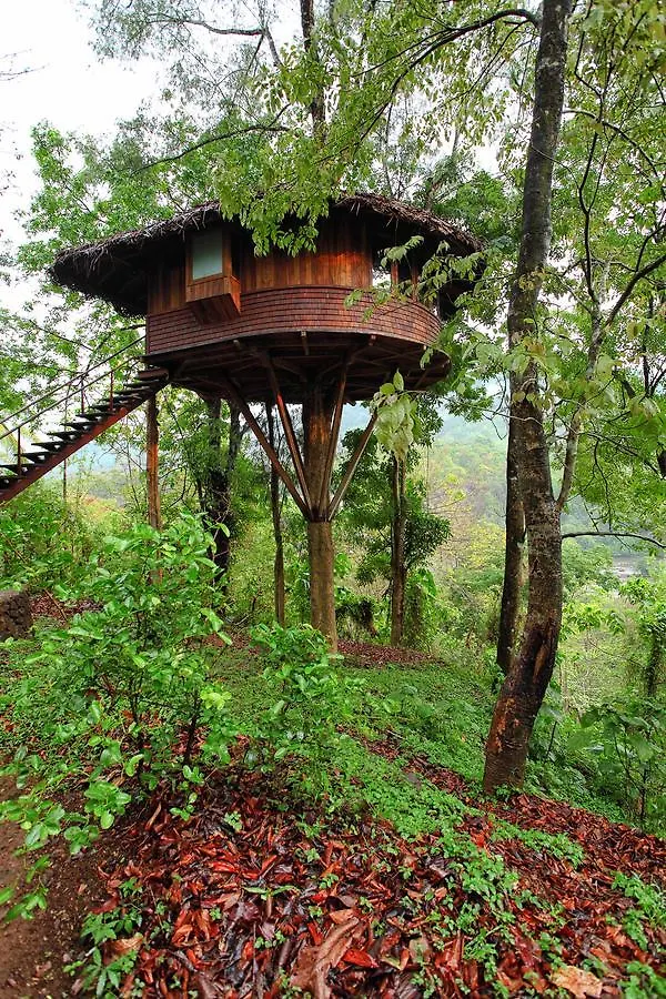 ***  Rainforest Resort Athirappilly India