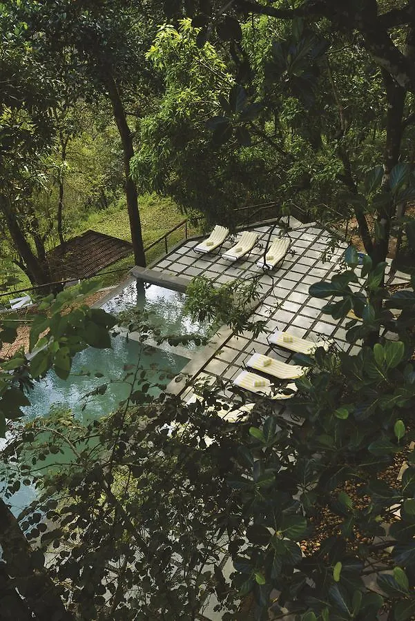 Rainforest Resort Athirappilly India